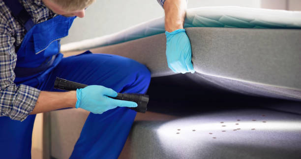 Best Ant Control Services  in Shinnston, WV